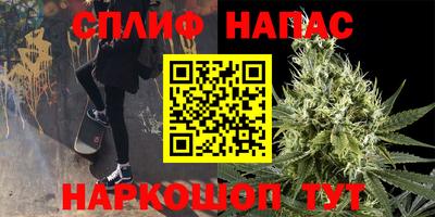 стаф Донской