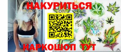 стаф Донской