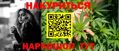 стаф Донской